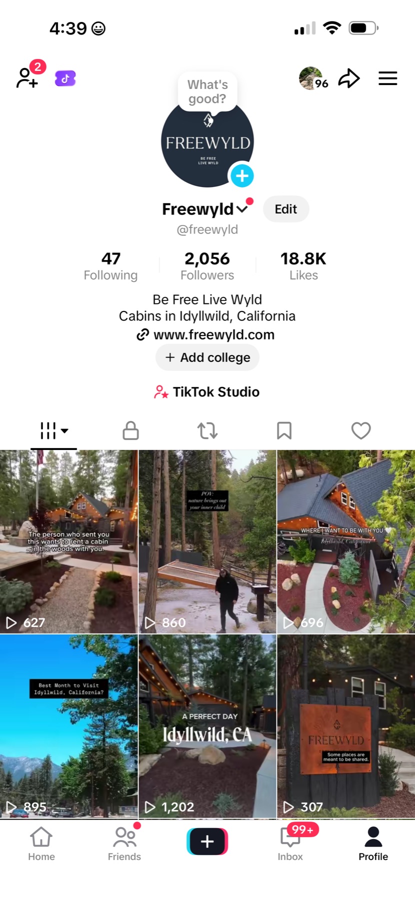 Freewyld TikTok profile with 2K followers and video content
