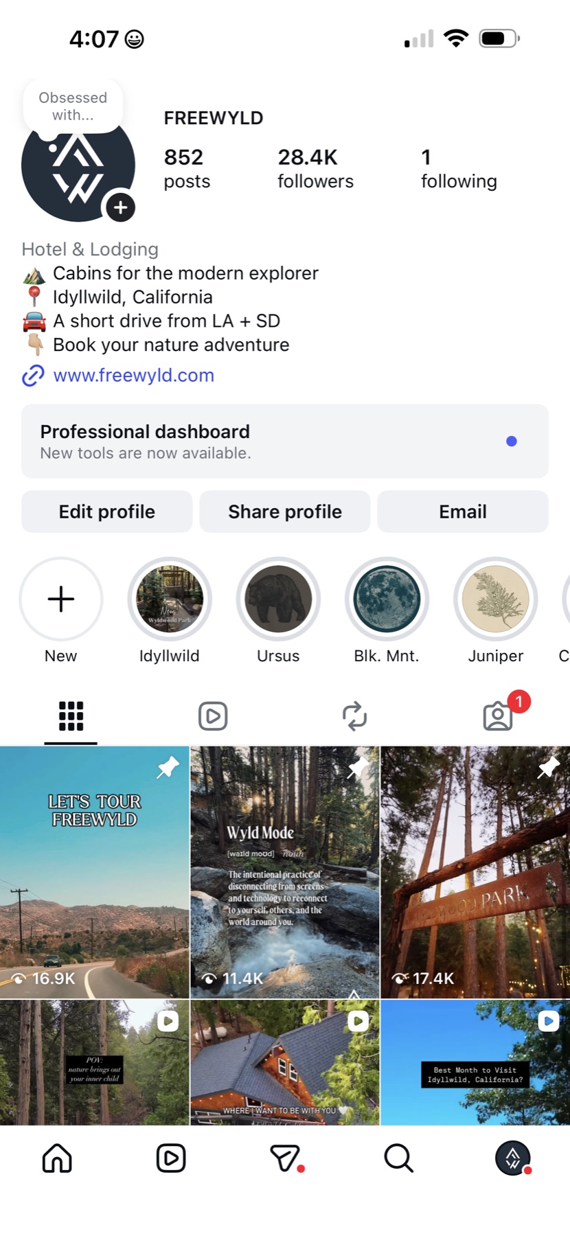 Freewyld Instagram profile showing 28.4K followers and experience-driven content grid